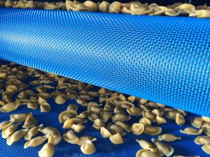 Belt pre-dryer for pasteurized fresh pasta